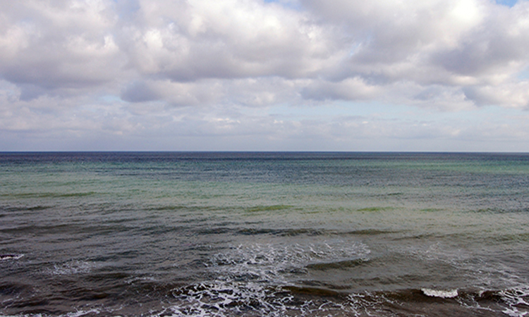 South Shore Beach Associaion - Aquinnah, Martha's Vineyard